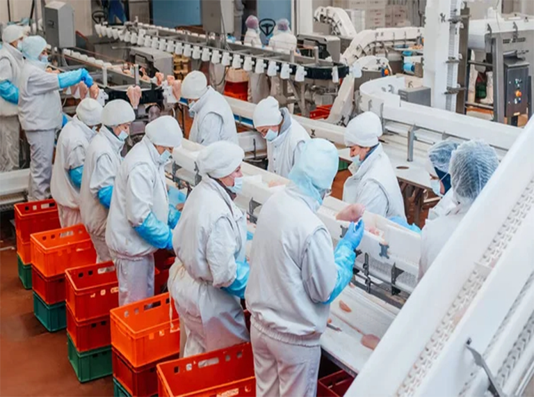 Food & Dairy Processing